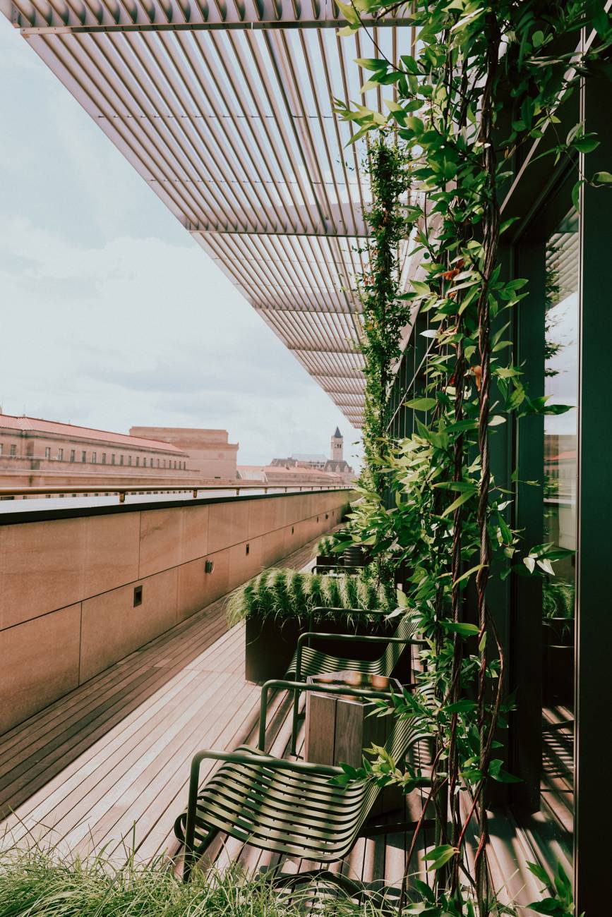 A green rooftop terrace with the Old Post Office clock tower in the distance