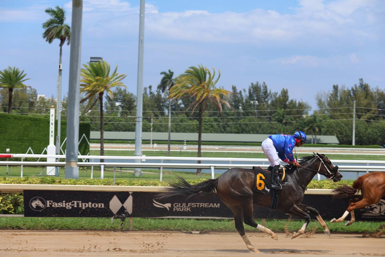 A jockey and thoroughbred at full speed on the track
