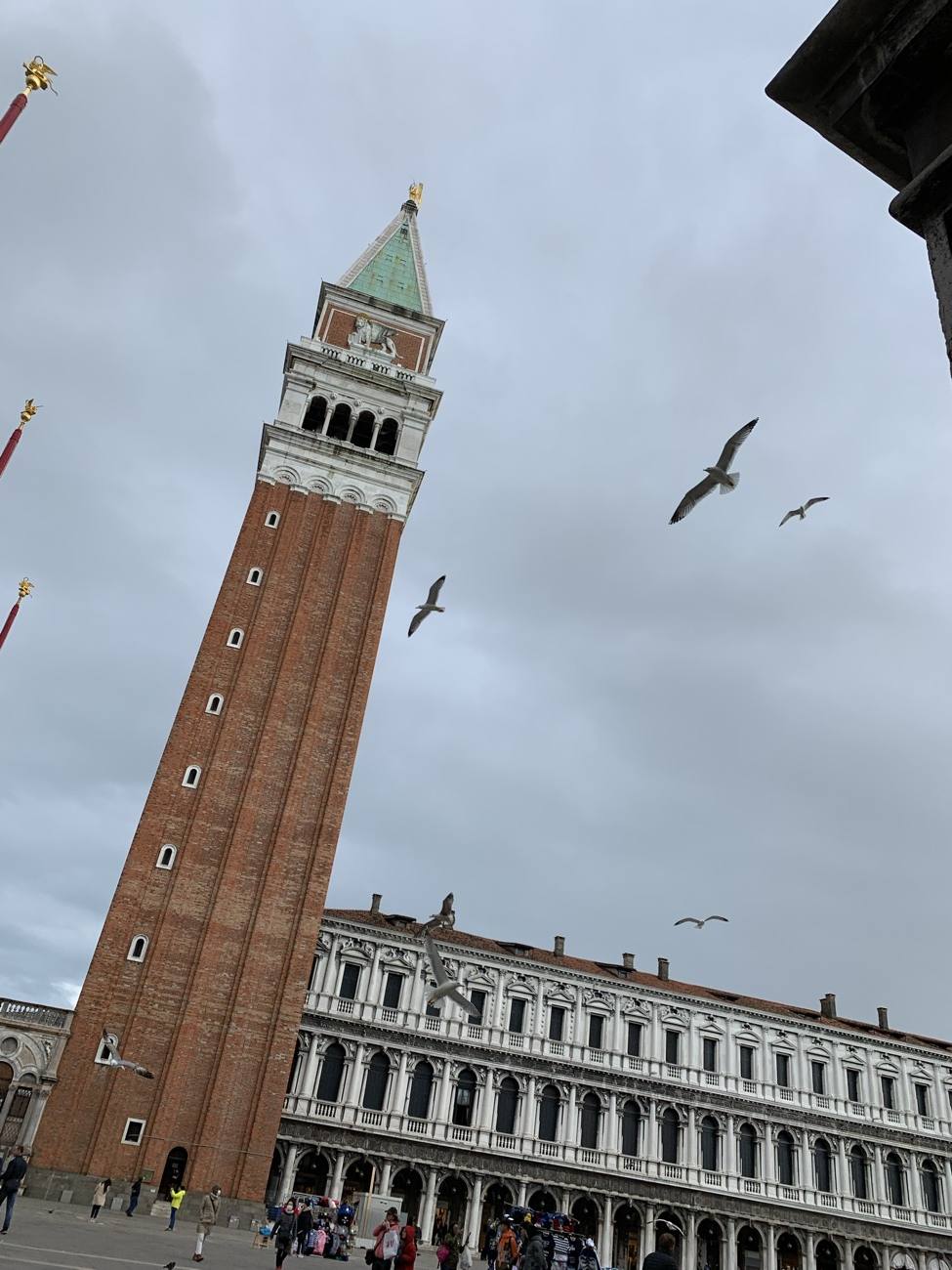 The brick Campanile of St Mark rising into a gray sky over Venice, gulls circling above